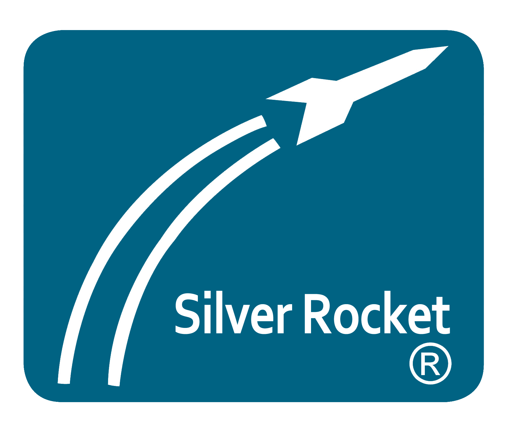 SILVER ROCKET METALLIC PIGMENT