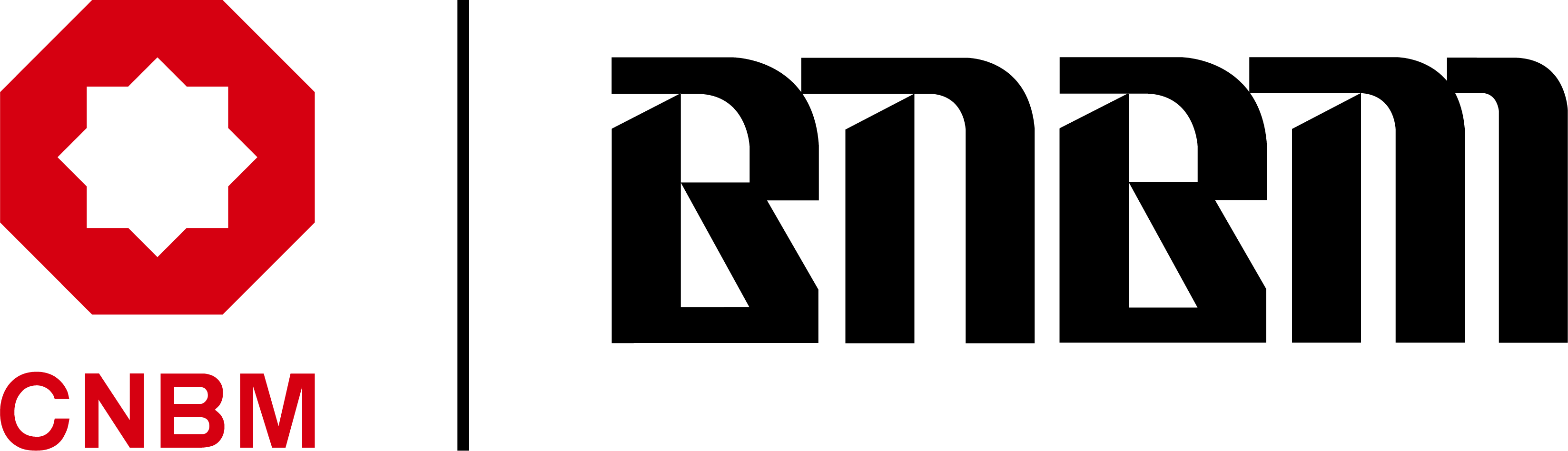 BEIJING NEW BUILDING MATERIALS PUBLIC LIMITED COMP